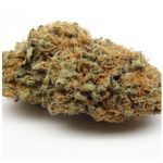 Шишки AK47  (Гидропоника, Бошка) VHQ в Курганинске